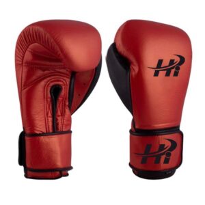 Boxing Glove